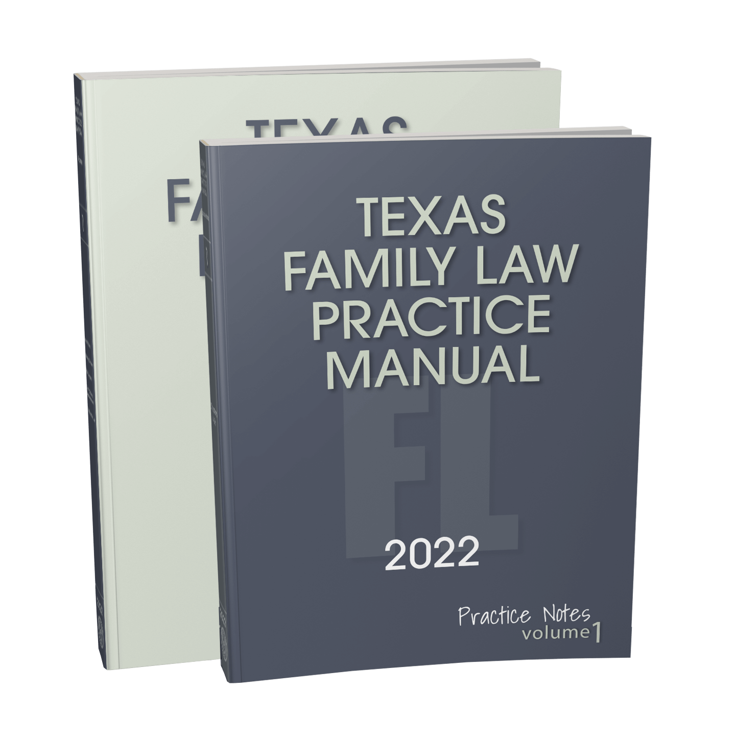 Texas Family Law Practice Manual 2022 Ed Texas Bar Practice