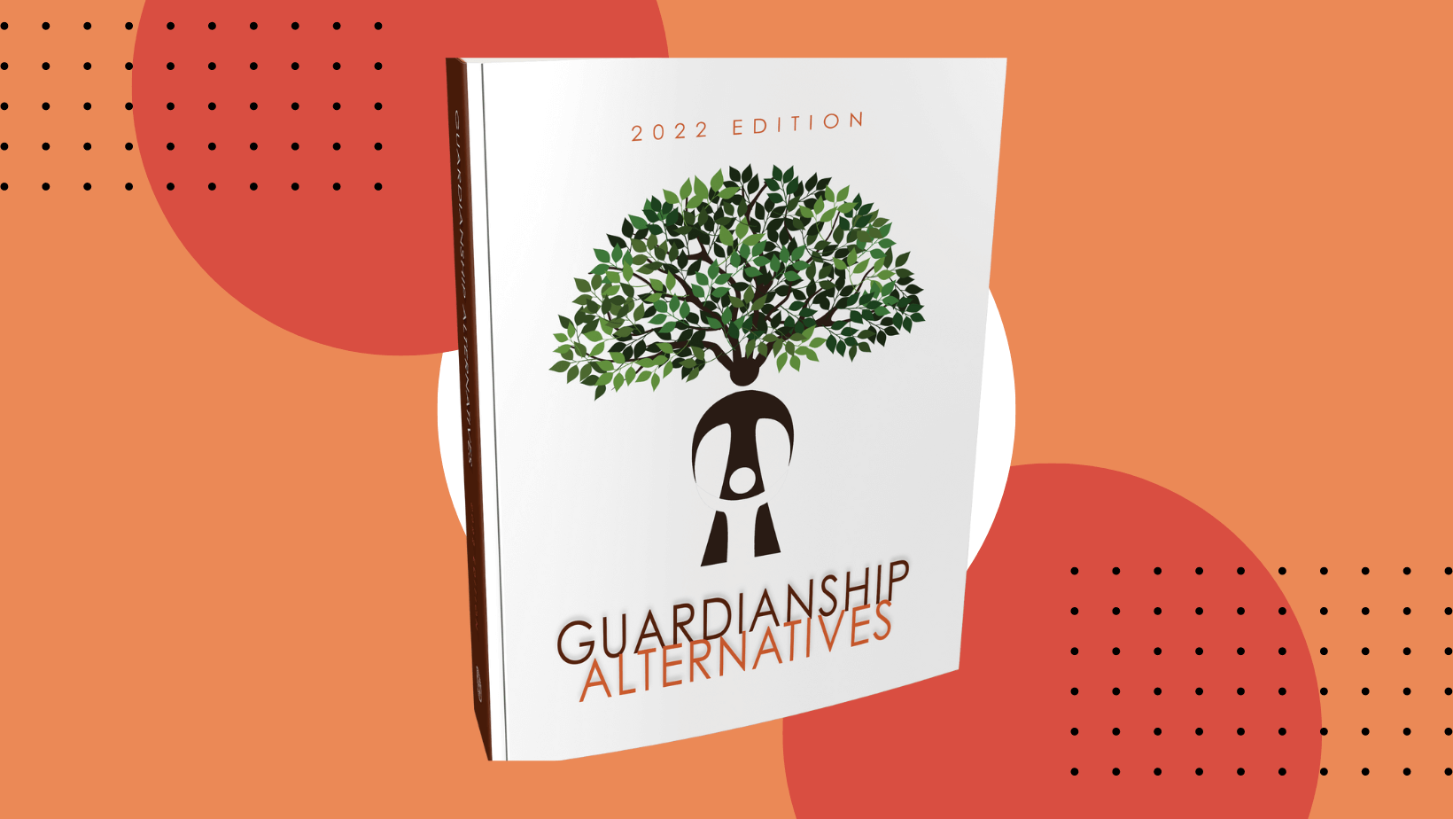 Featured image for “Guardianship Alternatives, 2022 ed., Is Now Available!”