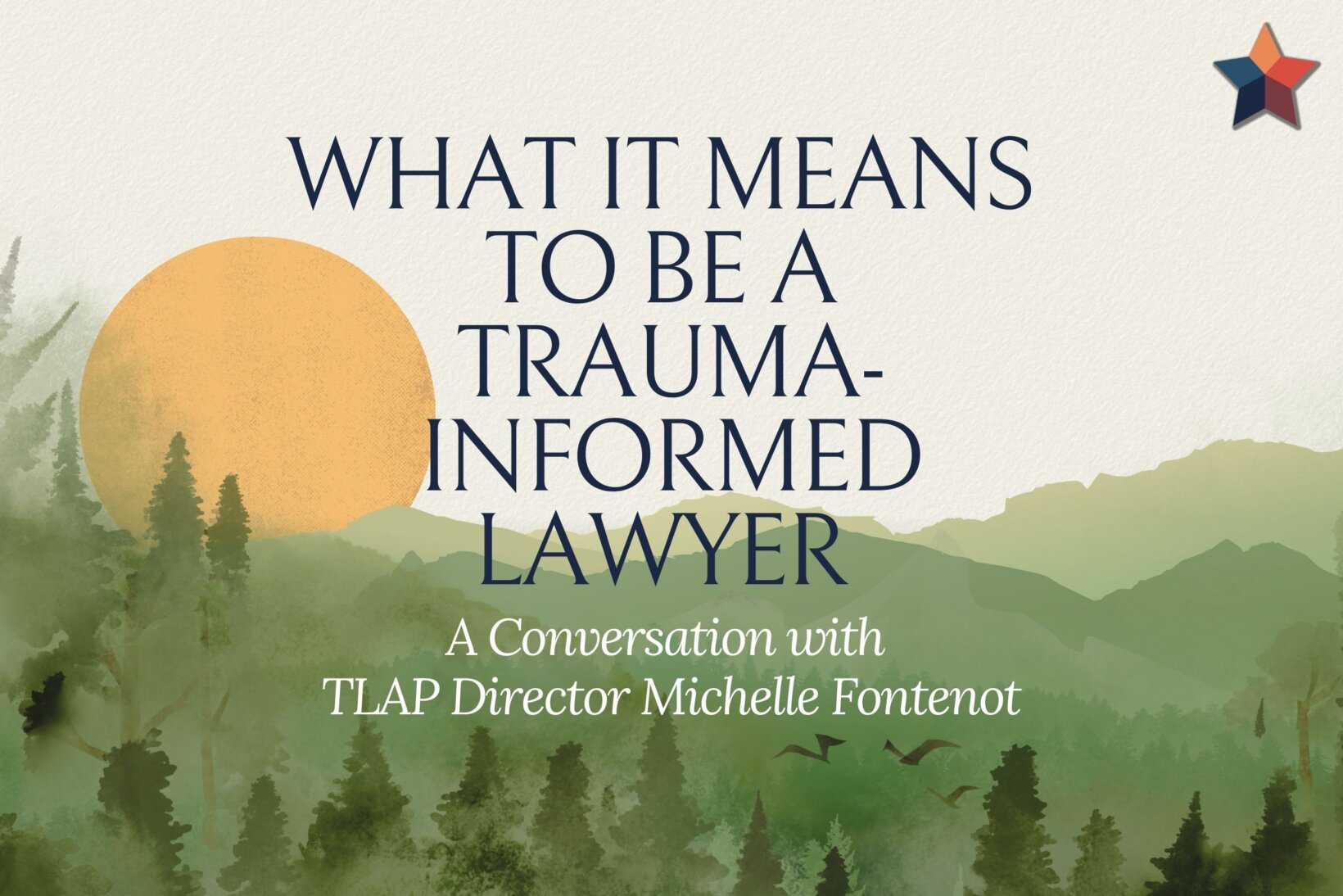 Trauma Informed Lawyer