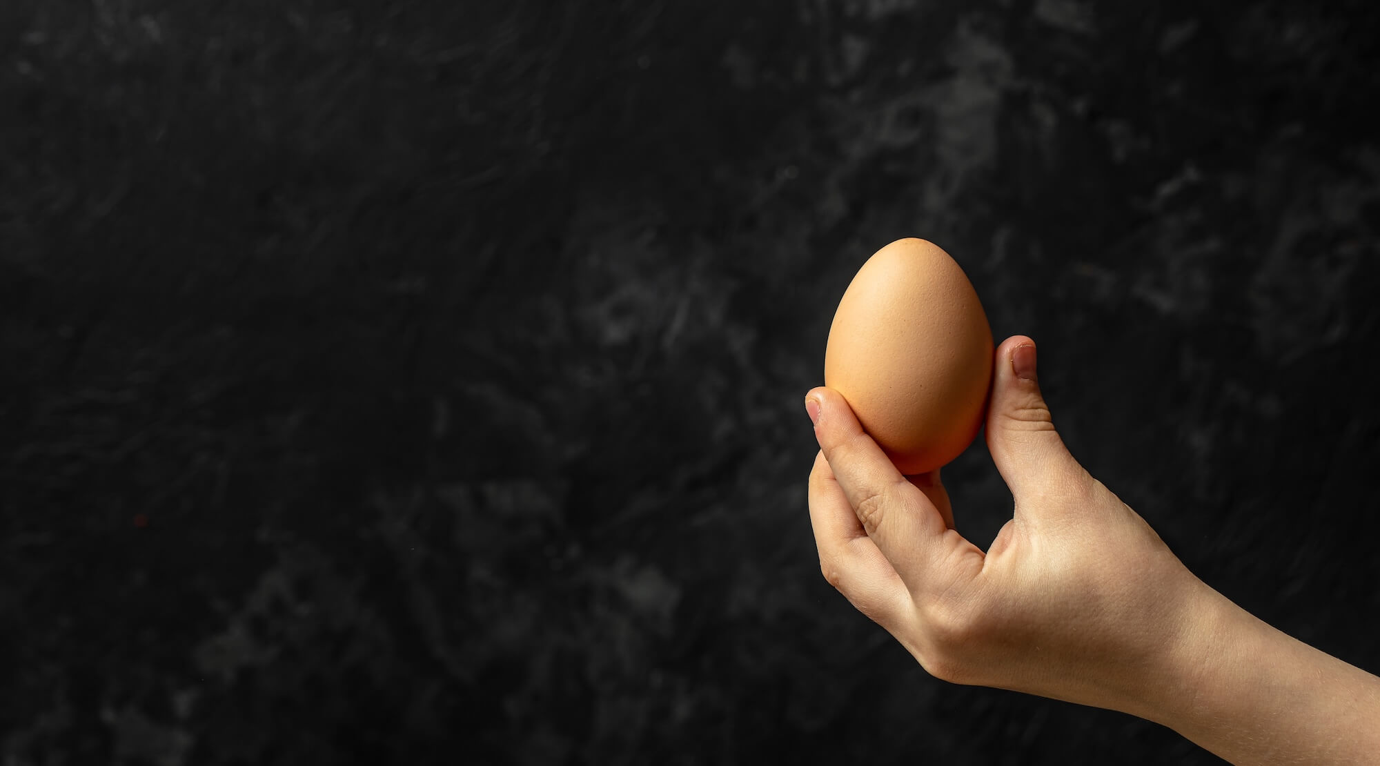 hand holding egg on a dark background