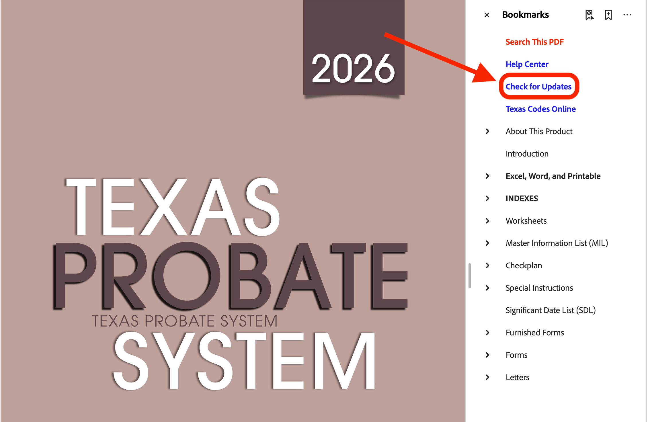 Texas Probate System Update